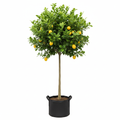 Lemon Eureka 20L Standard - product shot